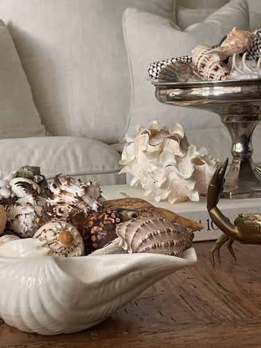 How To Style Shells In Your Home