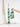 String of Buoys - Green & White #304GW