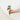 Bahamas Hook - Shiny #0382