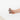 Textile Cone Shell #6442